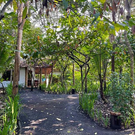 El Campito Lodge Ayampe Exteriér fotografie